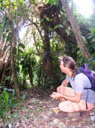 Recolectando semillas